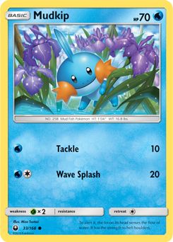 Mudkip